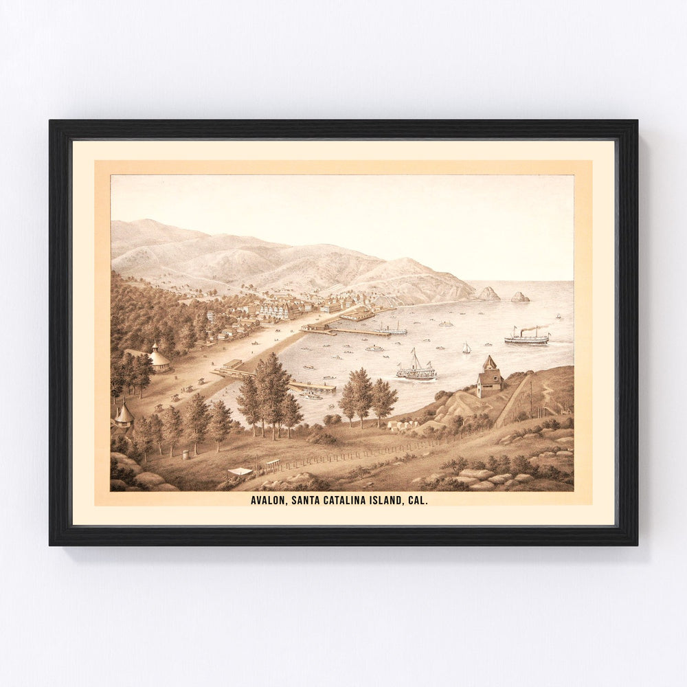 Avalon Vintage Map 1885