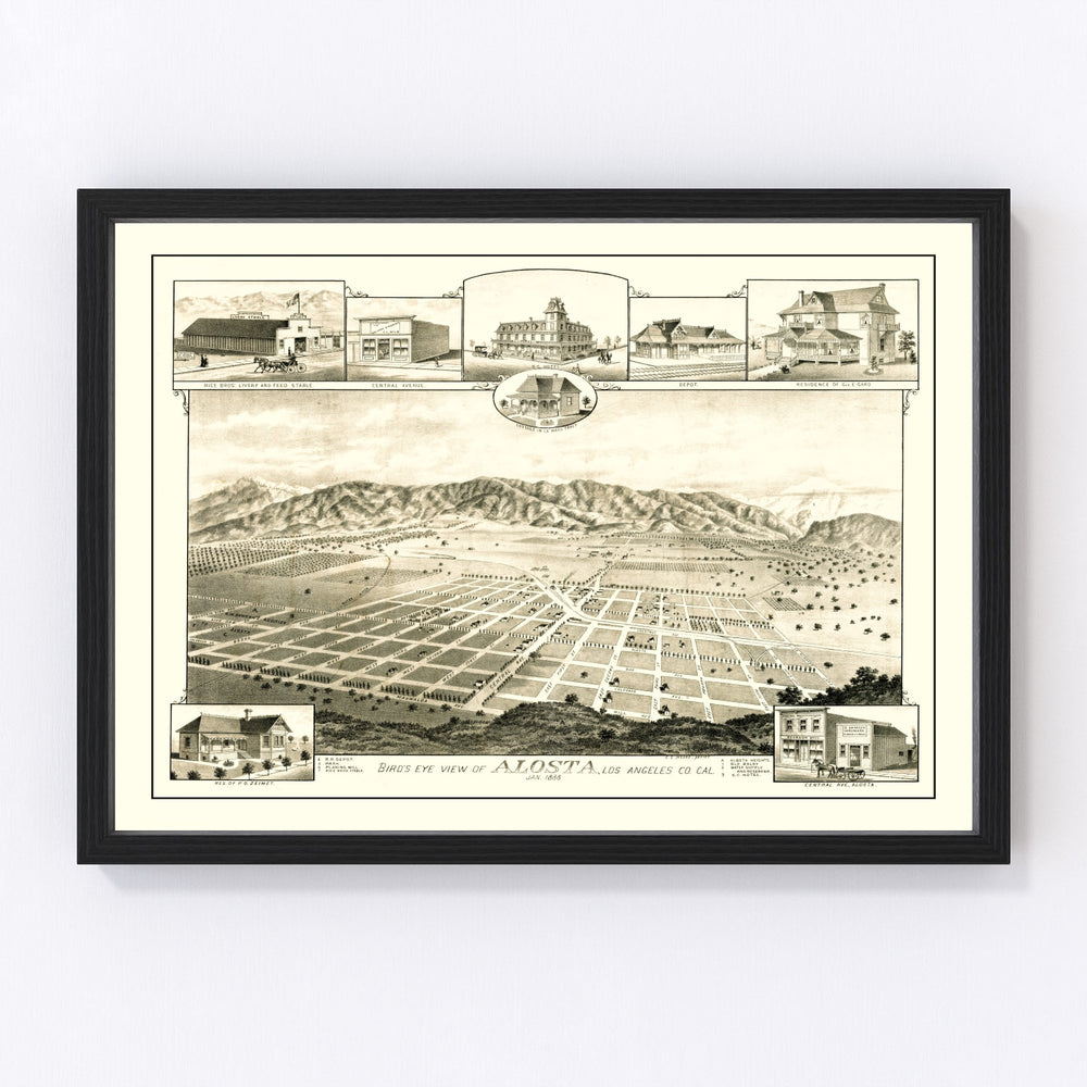 Alosta Vintage Map 1888
