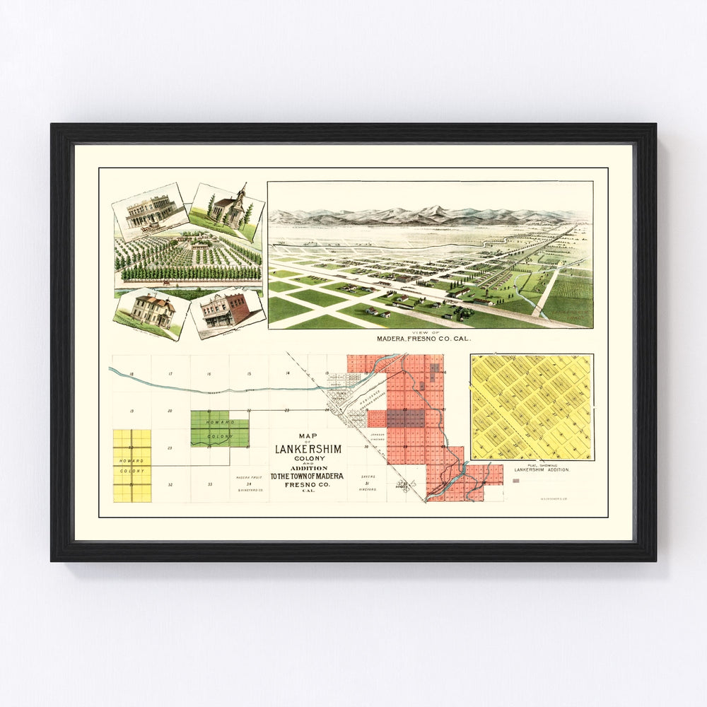 Madera Vintage Map 1889