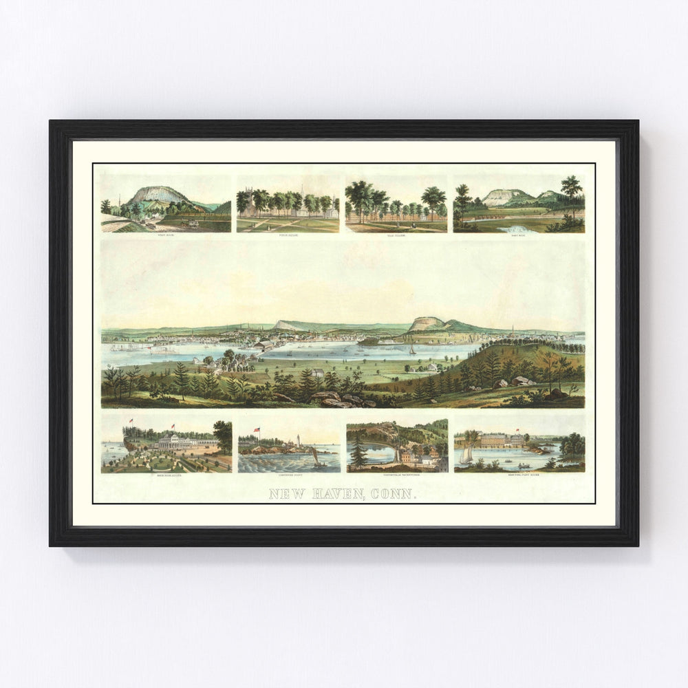 New Haven Vintage Map 1862
