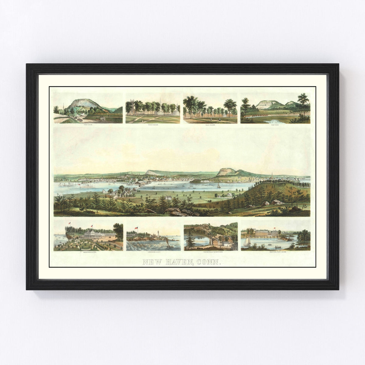 New Haven Vintage Map 1862