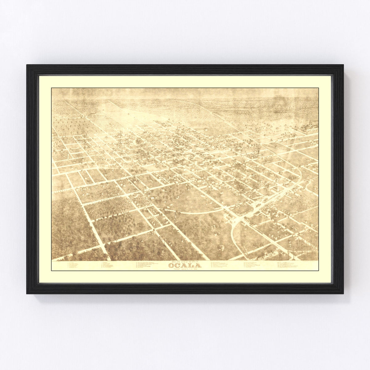 Ocala Vintage Map 1892