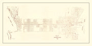 St. Petersburg histo