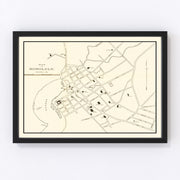 Honolulu Vintage Map 1893