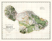 Maui history