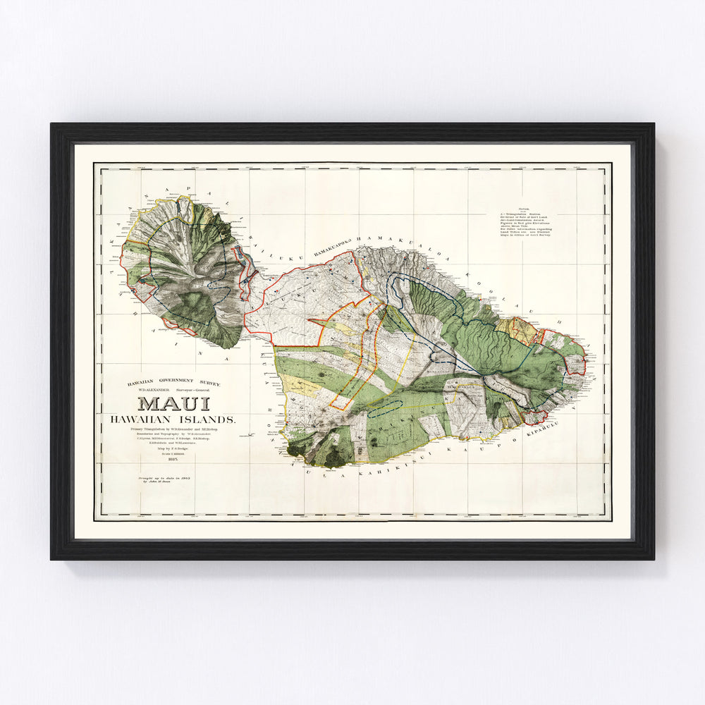 Maui Vintage Map 1903