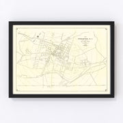 Princeton Vintage Map 1926