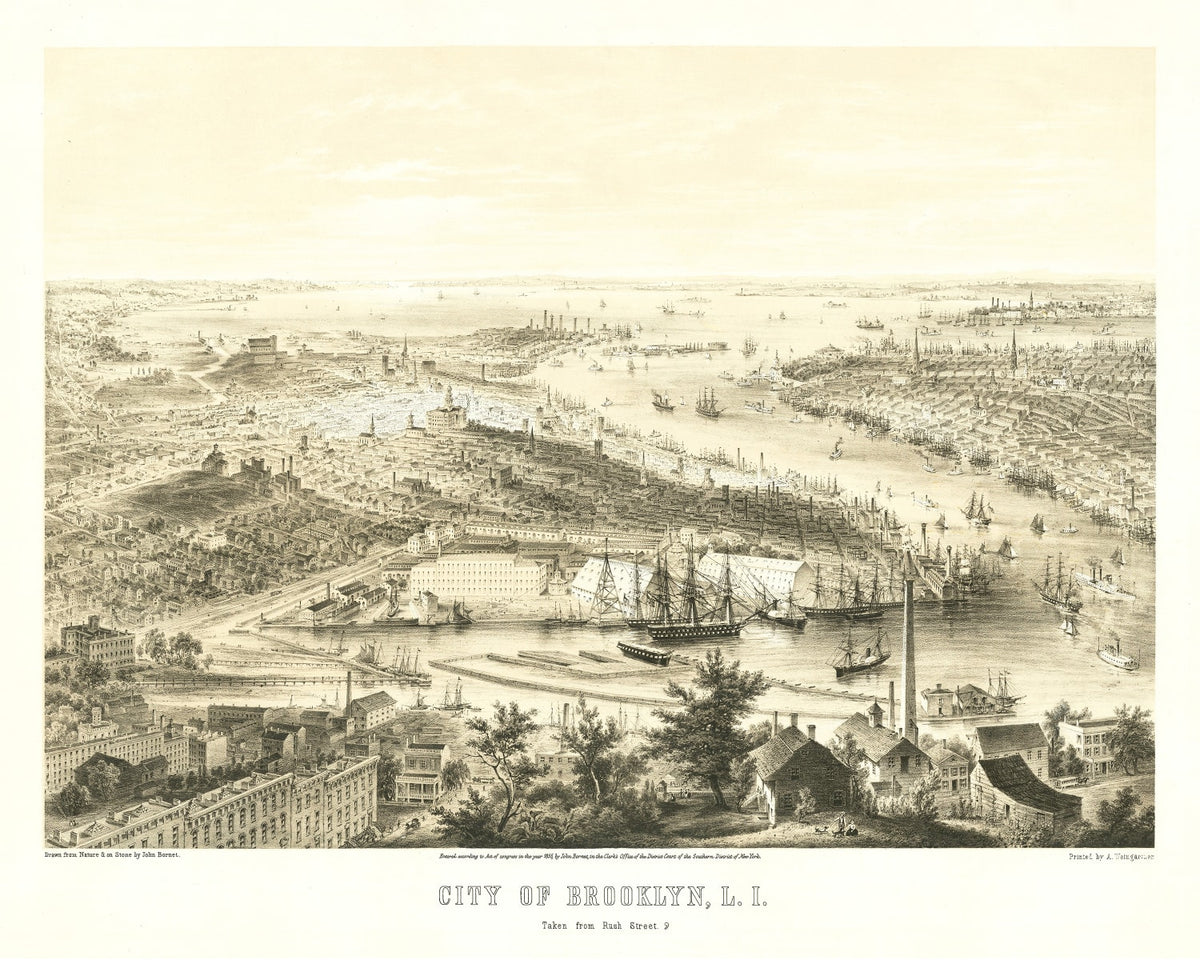 Preview of Vintage Map of Brooklyn, New York 1855