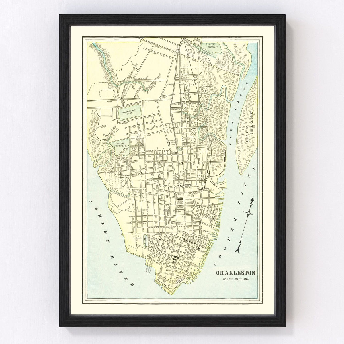 Charleston Vintage Map 1895