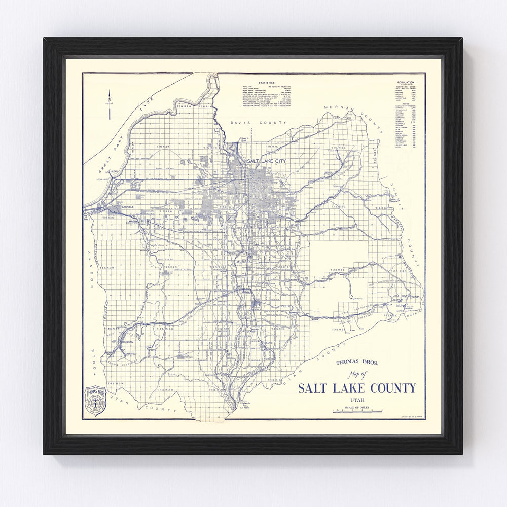 Salt Lake City Vintage Map 1920