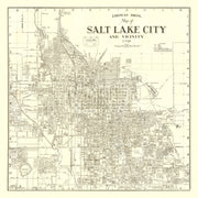 Salt Lake City histo