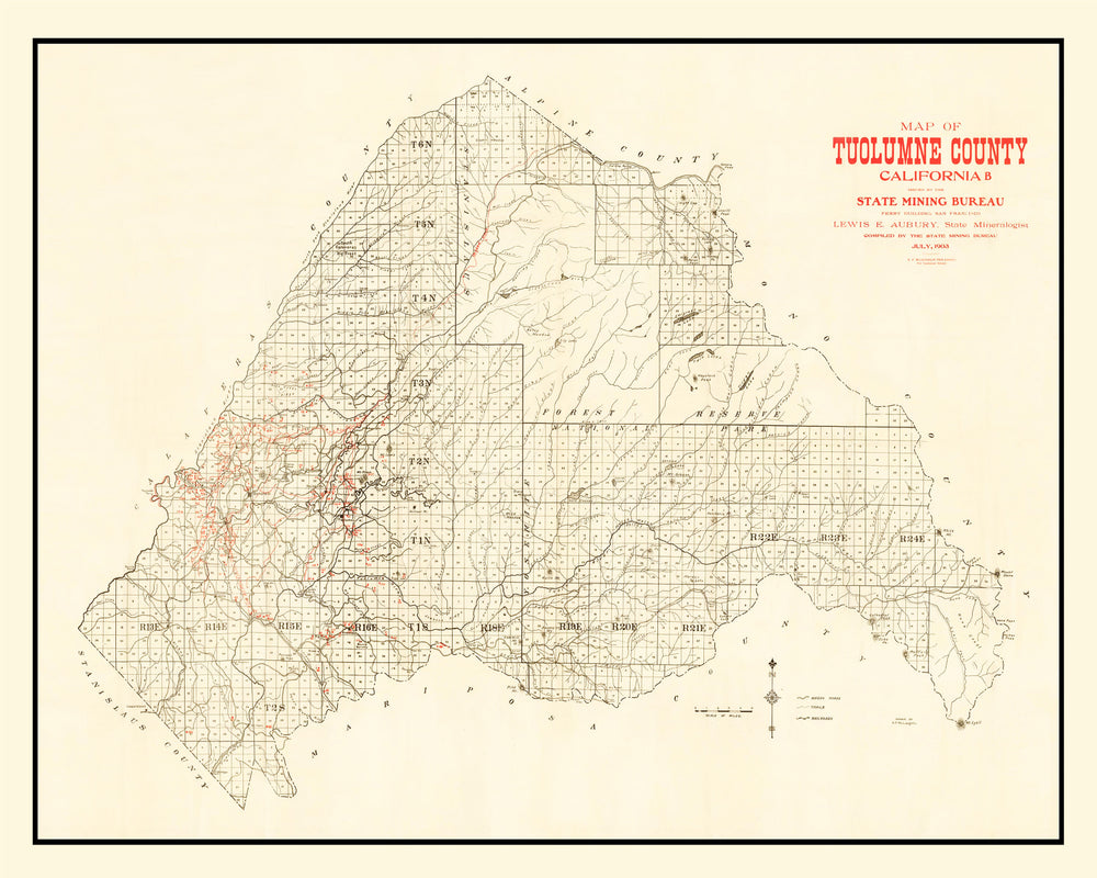 Vintage Map of Tuolomne County, California 1904 print style example