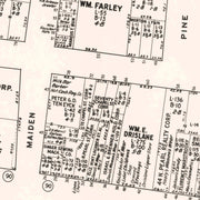 old Albany map