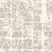 old Baltimore map