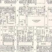 old Bayonne map
