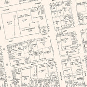 old Elmira map