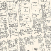 old Jamaica map