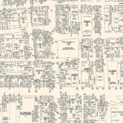 old Newark map