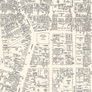 old Paterson map