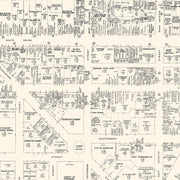 old Syracuse map