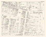 White Plain history