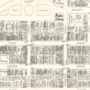 old San Jose map