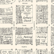 old San Mateo map