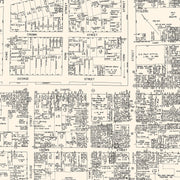 old New Haven map