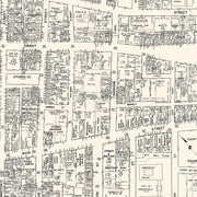 old Springfield map
