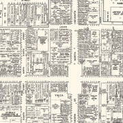 old Allentown map