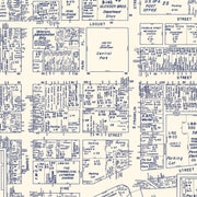 old Johnstown map
