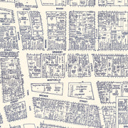 old Norfolk map