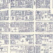 old Roanoke map