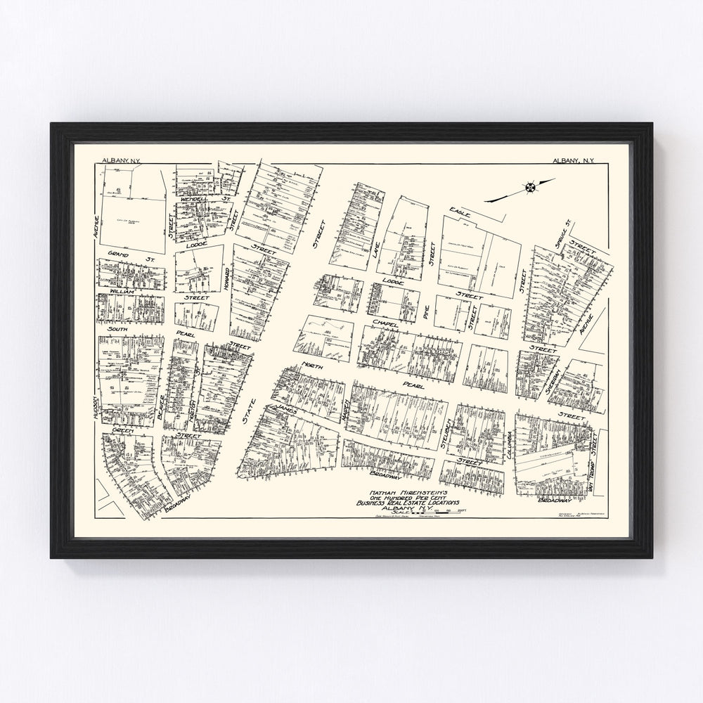 Albany Vintage Map 1929