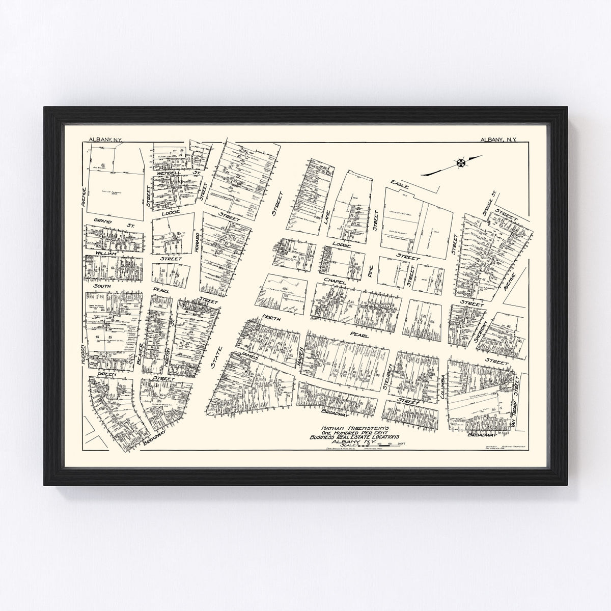 Albany Vintage Map 1929
