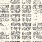 old Birmingham map
