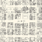 old Canton map