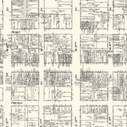 old Erie map