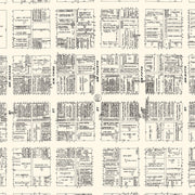 old Evansville map