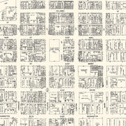 old Fort Wayne map
