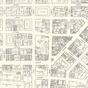 old Grand Rapids map