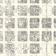 old Houston map