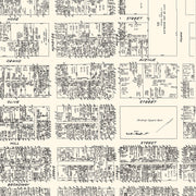 Vintage Map of Los Angeles, CA Business Section 1929