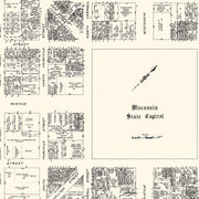 old Madison map