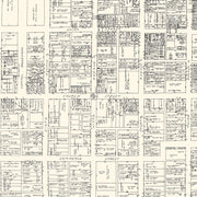 old Nashville map