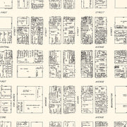 old Phoenix map