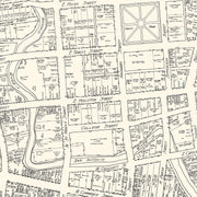 old San Antonio map