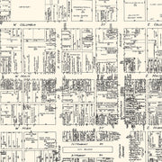 old Springfield map