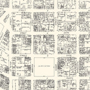 old St. Paul map