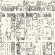 old Toronto map